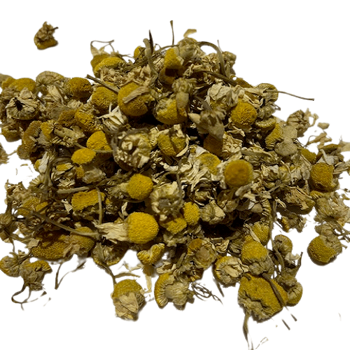 Egyptian Camomile Antioxidant